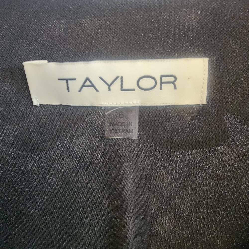 NWT Taylor Ruffled Chiffon Fit & Flare Maxi Dress - Size 6 - Picture 12 of 14